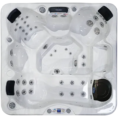 Avalon EC-849L hot tubs for sale in Lodi