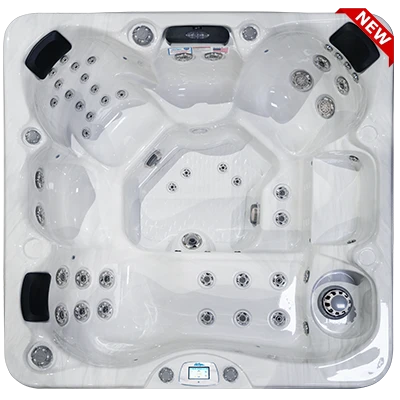 Avalon-X EC-849LX hot tubs for sale in Lodi