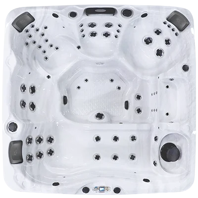 Avalon EC-867L hot tubs for sale in Lodi