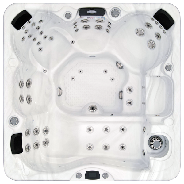 Avalon-X EC-867LX hot tubs for sale in Lodi